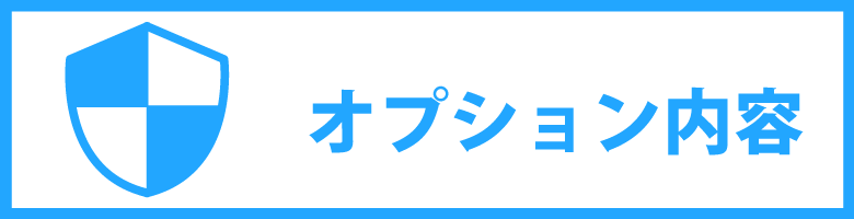 オプション内容